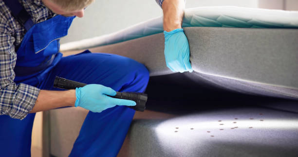 Best Best Pest Control Companies  in Redkey, IN