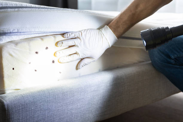 Pest Control Cost in Redkey, IN
