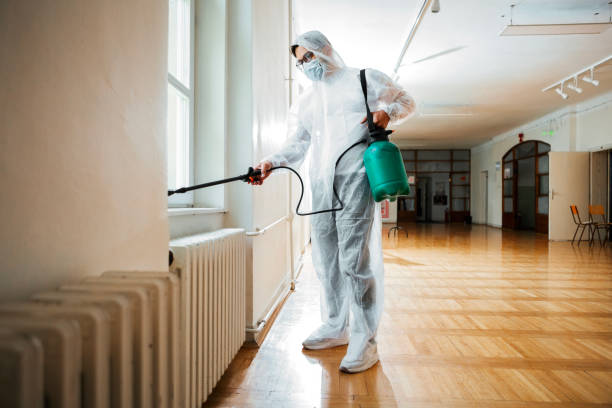 Best Rat Extermination Near Me  in Redkey, IN