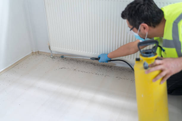 Best Ant Control Services  in Redkey, IN